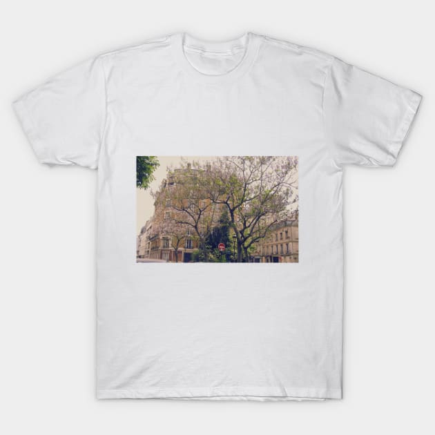 Time to Blossom T-Shirt by P.E. Fireisland